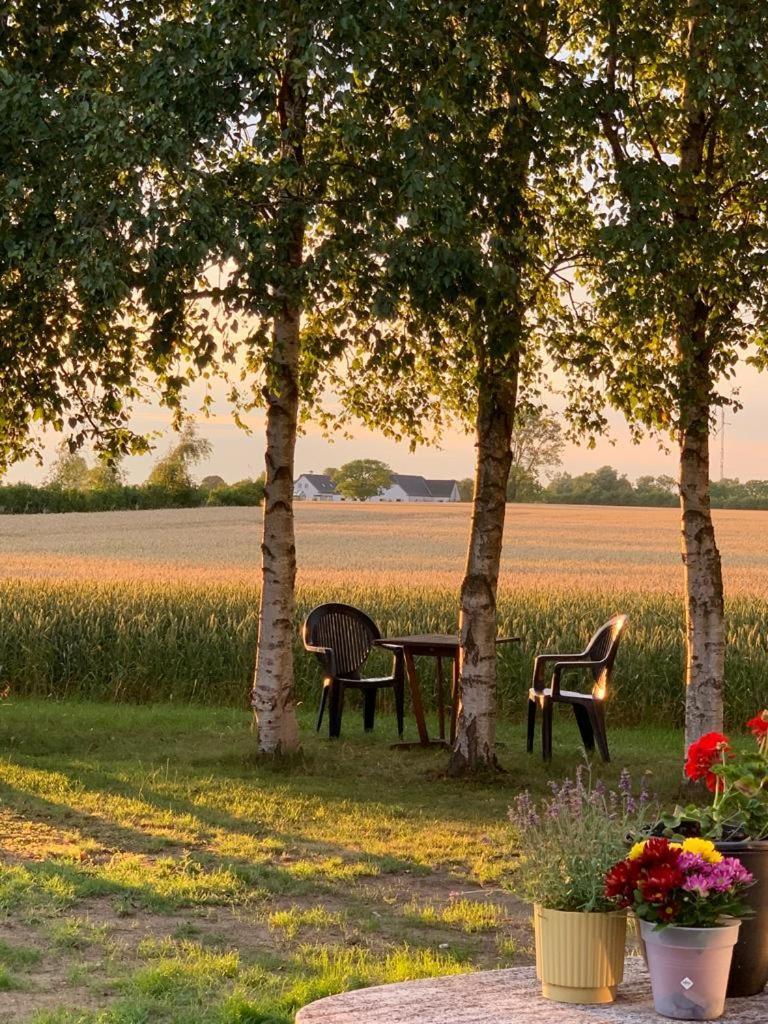Romantik Luxus Glamping 2 Luxury tent